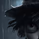 Rainy Day