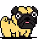 Pug