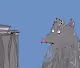 Trash cheemsimals