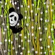 =Bored Pandas=