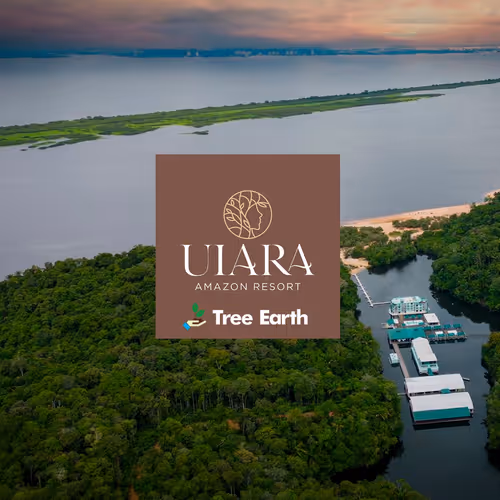UIARA Tree Earth