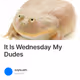 It Is Wednesday My Dudes