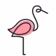 Flamingo