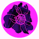 CryptoBlossom