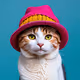 Cats With Hats Collection