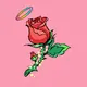 Cupid Love Rose
