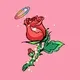 Cupid Love Rose