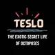 TESLO (The Exotic Secret Life of Octopuses)