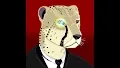 Serious Cheetahs Club