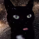 Space Cat Masya