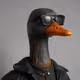 Honker Goose