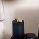 TestDesu