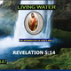 Bible in one year