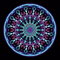 Soul Fingerprints
