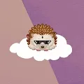 The HedgeCoin Space (THS)
