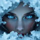 Icebound Enchantress