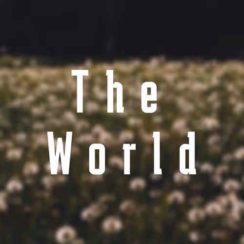 The World Pictures