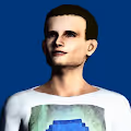 Vitalik  Punks