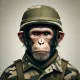 monkey-war