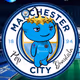 Manchester City Collection