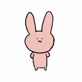 Dress-up rabbit