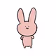 Dress-up rabbit