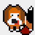 Beagle Crypto Collection