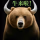 Bull