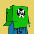 Head in the Box