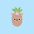 The Pineapples V2