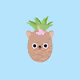 The Pineapples V2