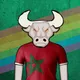 Footbull World Cup Pride