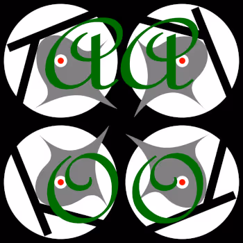 toshiakiart-inst-announcement-aaoo