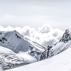 Swiss Crypto Stamp 5.0 - Unique Edition