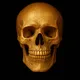Lucky Skull