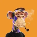 Bored Ape Collection Gif