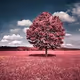 Pinky tree V2