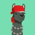 Alpaca DOM