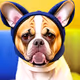 Canine Companions: Hats