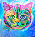 CatTDA