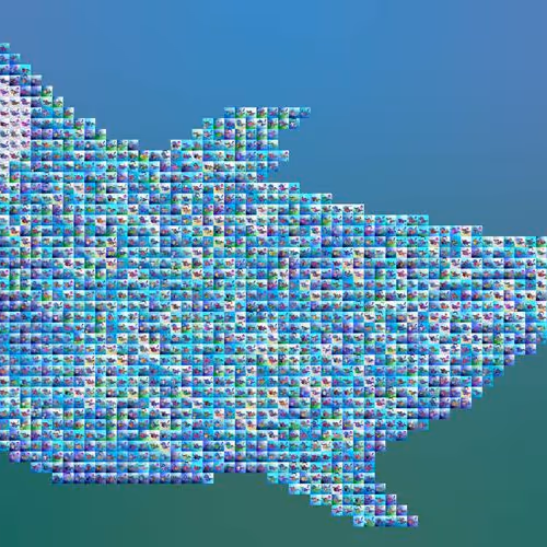 Big Pixel Dragon Fish