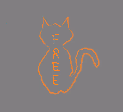 HOMELEESCAT