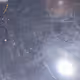 testnftbar
