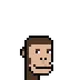 Polygon Ape Punks Club