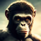 APEFACES