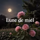 Lune de miel