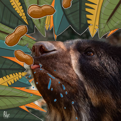 “Las segundas oportunidades valen la pena'' by Mariana Polar