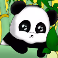JoniPanda