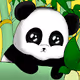 JoniPanda
