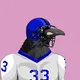 Raven On The Heaven